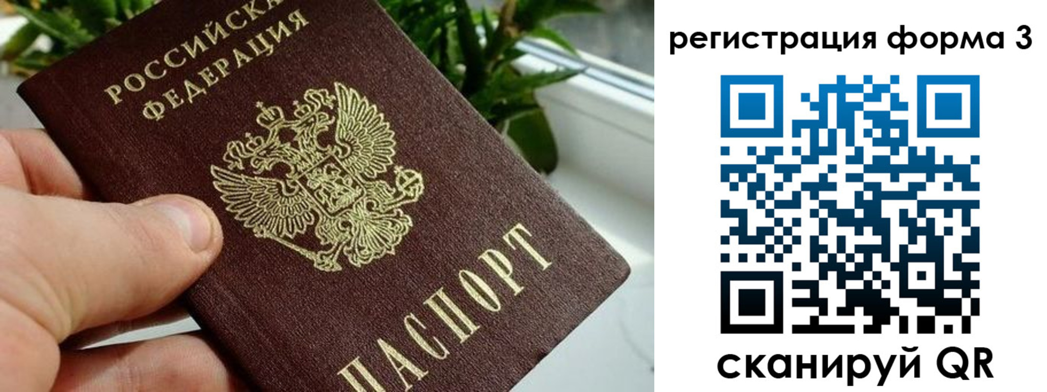 прописка штамп в Павлово
